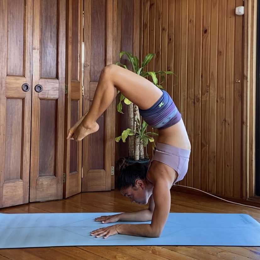 pincha scorpion